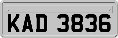 KAD3836
