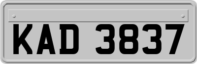 KAD3837