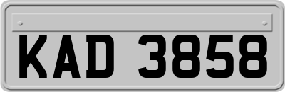 KAD3858