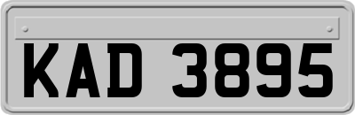 KAD3895