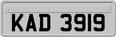 KAD3919