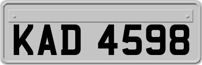 KAD4598