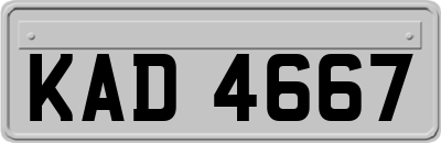 KAD4667