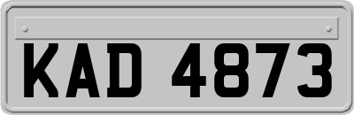 KAD4873