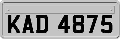 KAD4875