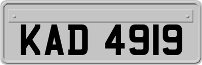 KAD4919