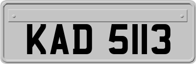 KAD5113