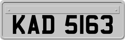KAD5163