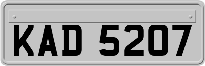 KAD5207