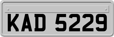 KAD5229