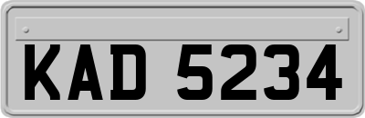 KAD5234