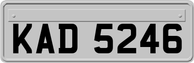 KAD5246