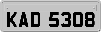 KAD5308