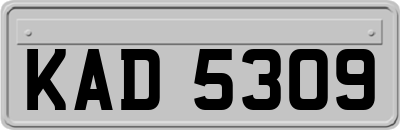KAD5309