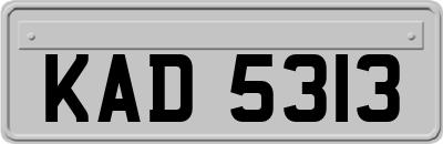 KAD5313
