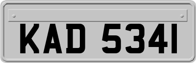 KAD5341