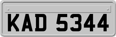 KAD5344