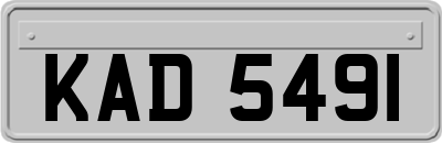 KAD5491