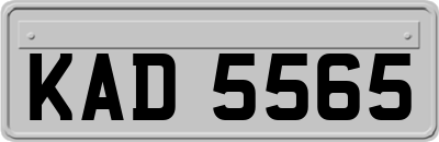 KAD5565