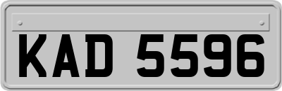 KAD5596