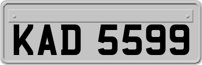 KAD5599