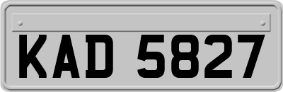 KAD5827