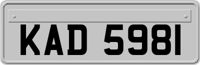 KAD5981