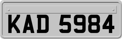 KAD5984