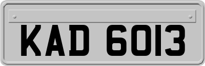 KAD6013