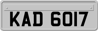 KAD6017
