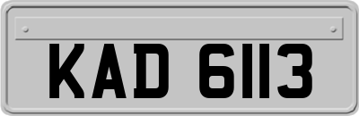 KAD6113