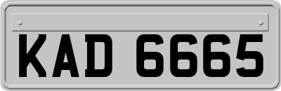 KAD6665