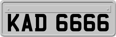 KAD6666