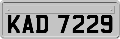 KAD7229