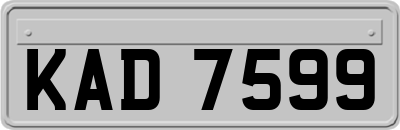 KAD7599
