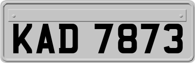KAD7873