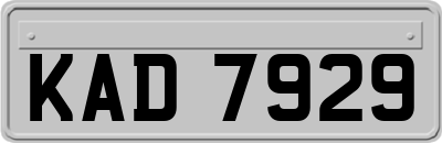 KAD7929