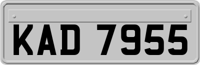 KAD7955