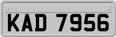KAD7956