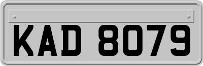 KAD8079