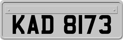 KAD8173