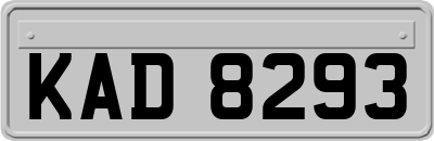 KAD8293