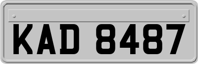 KAD8487