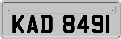 KAD8491