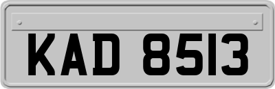 KAD8513