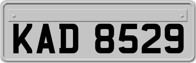 KAD8529