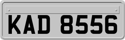 KAD8556
