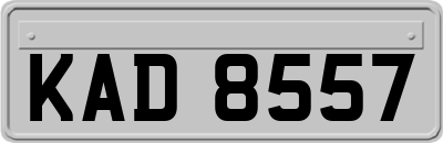 KAD8557