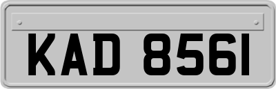 KAD8561