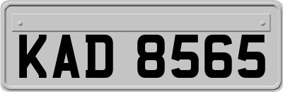 KAD8565